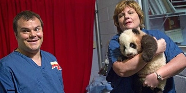 Feb. 15: Dr. Hayley Murphy, director of veterinary services at Zoo Atlanta, right, brings out a 3-month-old giant panda cub as actor Jack Black looks on before a naming ceremony in Atlanta.