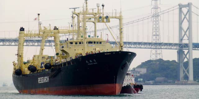 FILE - In this April 5, 2014 file photo, Japanese whaling vessel Nisshin Maru returns to a port, from the Antarctic Sea, in Shimonoseki, western Japan.