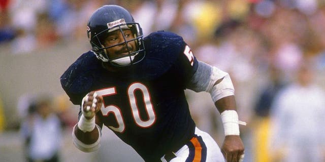 Mike Singletary #50 of the Chicago Bears in action an NFL football game at Soldier Field in Chicago, Illinois. Singletary played for the Bears from 1981-92. (Photo by Focus on Sport/Getty Images)
