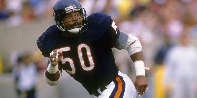 Mike Singletary #50 of the Chicago Bears in action an NFL football game at Soldier Field in Chicago, Illinois. Singletary played for the Bears from 1981-92. (Photo by Focus on Sport/Getty Images)