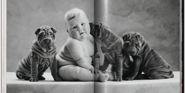 03780f2d-Anne Geddes photos