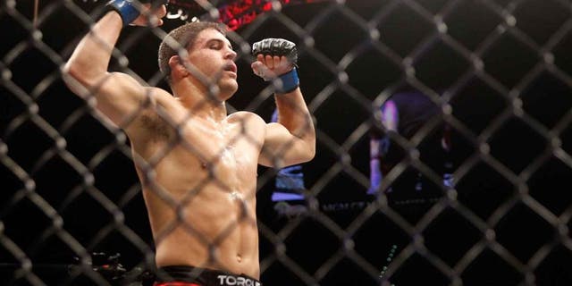 LAS VEGAS, NV - JANUARY 31: Al Iaquinta celebrates after defeating Joe Lauzon in their lightweight bout during UFC 183 at the MGM Grand Garden Arena on January 31, 2015 in Las Vegas, Nevada. Iaquinta won with a second-round TKO. (Photo by Steve Marcus/Getty Images)