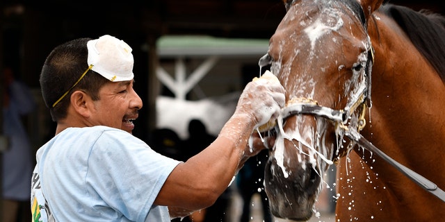 Groom Cesar Abrego gives a bath to one of the horses being trained by Dale Romans following his morning workout at Churchill Downs, Wednesday, April 19, 2017, in Louisville, Ky.