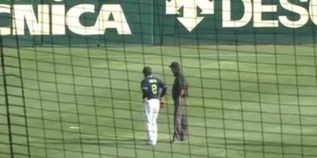 A dead fish fell from the sky during the Hanshin Tigers' game against the Tokyo Yakult Swallows over the weekend.