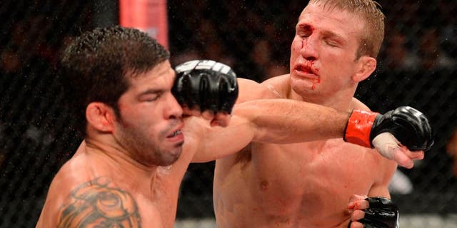 BARUERI, BRAZIL - OCTOBER 9: (R-L) TJ Dillashaw punches Raphael Assuncao in their bantamweight bout during the UFC Fight Night event at the Ginasio Jose Correa on October 9, 2013 in Barueri, Sao Paulo, Brazil. (Photo by Jeff Bottari/Zuffa LLC/Zuffa LLC via Getty Images)