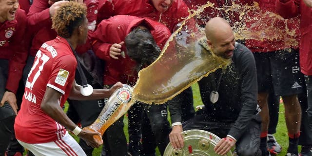 Bayern Munich's Spanish head coach Pep Guardiola (R) is doused in beer by Bayern Munich's Austrian midfielder David Alaba (L) celebrating their Bundesliga title after the German first division Bundesliga football match between FC Bayern Munich and Hannover 96 in Munich, southern Germany, on May 14, 2016. Bayern Munich won the German league for a record 4th time in a row. / AFP / GUENTER SCHIFFMANN / RESTRICTIONS: DURING MATCH TIME: DFL RULES TO LIMIT THE ONLINE USAGE TO 15 PICTURES PER MATCH AND FORBID IMAGE SEQUENCES TO SIMULATE VIDEO. == RESTRICTED TO EDITORIAL USE == FOR FURTHER QUERIES PLEASE CONTACT DFL DIRECTLY AT + 49 69 650050 (Photo credit should read GUENTER SCHIFFMANN/AFP/Getty Images)