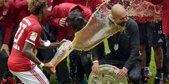 Bayern Munich's Spanish head coach Pep Guardiola (R) is doused in beer by Bayern Munich's Austrian midfielder David Alaba (L) celebrating their Bundesliga title after the German first division Bundesliga football match between FC Bayern Munich and Hannover 96 in Munich, southern Germany, on May 14, 2016. Bayern Munich won the German league for a record 4th time in a row. / AFP / GUENTER SCHIFFMANN / RESTRICTIONS: DURING MATCH TIME: DFL RULES TO LIMIT THE ONLINE USAGE TO 15 PICTURES PER MATCH AND FORBID IMAGE SEQUENCES TO SIMULATE VIDEO. == RESTRICTED TO EDITORIAL USE == FOR FURTHER QUERIES PLEASE CONTACT DFL DIRECTLY AT + 49 69 650050 (Photo credit should read GUENTER SCHIFFMANN/AFP/Getty Images)