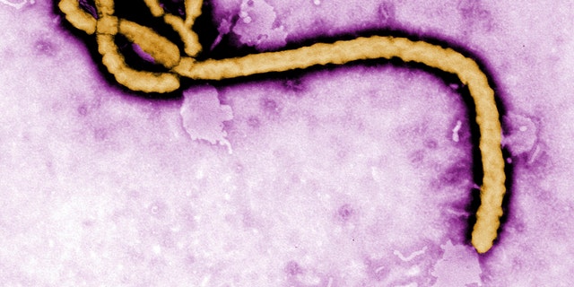 0515 ebola