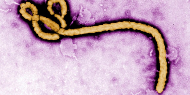 0515 ebola