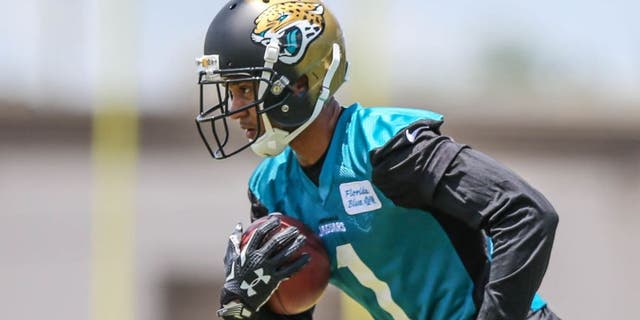Jacksonville Jaguars wide receiver Rashad Greene (1) carries the ball during drills at NFL football rookie camp Saturday, May 9, 2015, in Jacksonville, Fla. (AP Photo/Gary McCullough)