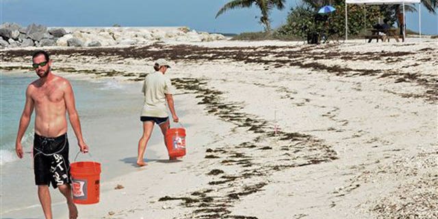 May 18: Crews collect sand samples at Fort Zachary Taylor State Park beach in Key West, Fla., to analyze tar balls found on shore.