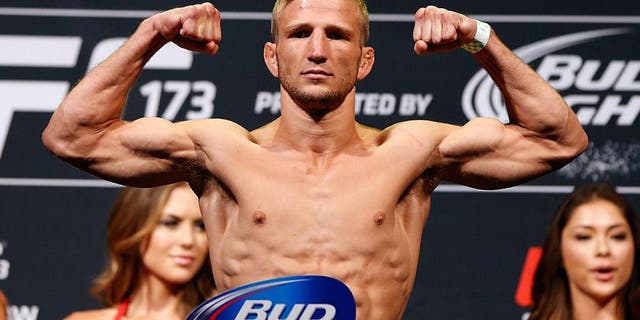 LAS VEGAS, NV - MAY 23: UFC bantamweight title challenger T.J. Dillashaw weighs in during the UFC 173 weigh-in at the MGM Grand Garden Arenaon May 23, 2014 in Las Vegas, Nevada. (Photo by Josh Hedges/Zuffa LLC/Zuffa LLC via Getty Images)