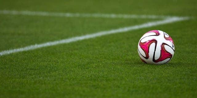 A ball is seen on the pitch prior to the French L1 football match Olympique de Marseille vs OGC Nice on August 29, 2014 at the Velodrome stadium in Marseille, southern France. AFP PHOTO / BERTRAND LANGLOIS (Photo credit should read BERTRAND LANGLOIS/AFP/Getty Images)