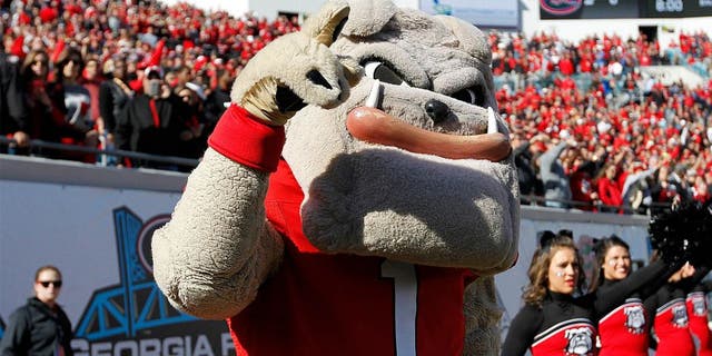 Nov 1, 2014; Jacksonville, FL, USA; Georgia Bulldogs mascot Hairy Dawg during the first quarter against the Florida Gators at EverBank Field. Mandatory Credit: Kim Klement-USA TODAY Sports