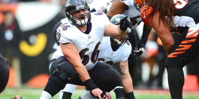 Dec 29, 2013; Cincinnati, OH, USA; Baltimore Ravens center Gino Gradkowski (66) against the Cincinnati Bengals at Paul Brown Stadium. Bengals defeated the Ravens 34-17. Mandatory Credit: Andrew Weber-USA TODAY Sports