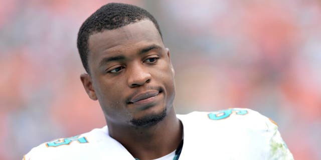 Dec 21, 2014; Miami Gardens, FL, USA; Miami Dolphins defensive end Dion Jordan (95) reacts on the sideline during the first half against the Minnesota Vikings at Sun Life Stadium. Mandatory Credit: Steve Mitchell-USA TODAY Sports