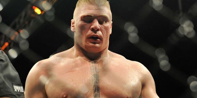 punches at the UFC 91: Couture vs. Lesnar at the MGM Garden Arena on November 15, 2008 in Las Vegas, Nevada.