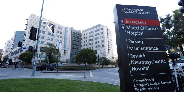 Police are investigating a claim by a Los Angeles County coroner's investigator that an anesthesiologist used a painkiller to hasten the death of a gravely injured boy to increase the likelihood his organs could be harvested without deterioration