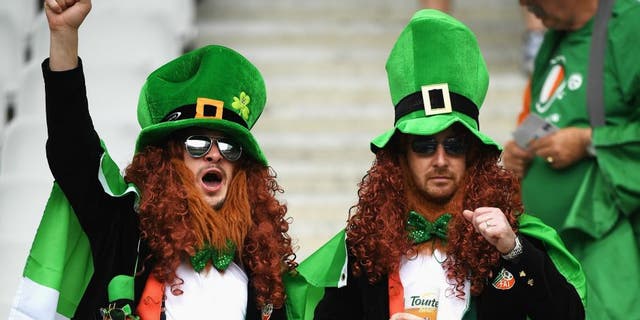 during the UEFA EURO 2016 Group E match between Republic of Ireland and Sweden at Stade de France on June 13, 2016 in Paris, France.
