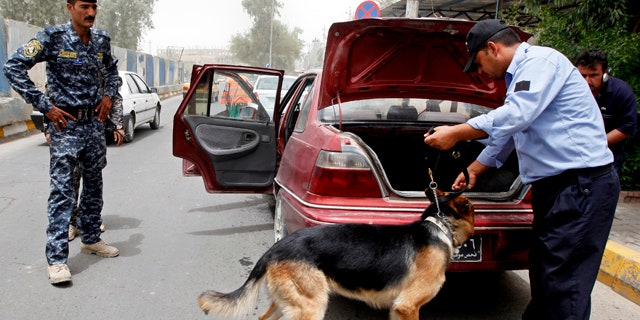 June 23: An Iraqi policeman uses a dog to search a car at a checkpoint in Baghdad, Iraq.