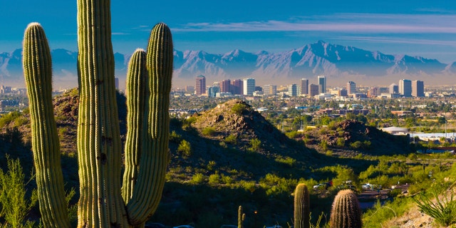 Midtown Phoenix skyline with several cacti and desert hills in the foreground.