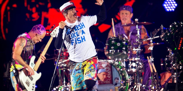 Red Hot Chili Peppers perform at the orange stage at Roskilde Festival in Roskilde, Denmark June 29, 2016.