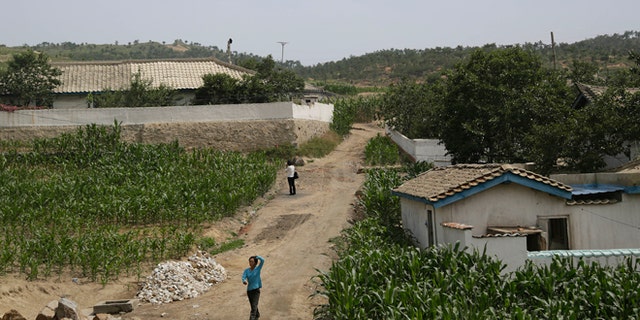 June 24, 2015: People walk between corn fields in South Hwanghae, North Korea.