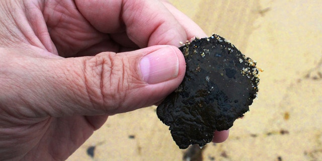 June 6, 2015: Photo shows a tar ball, less than two inches in diameter, found on the sand at Hermosa Beach, Calif., adjacent to Redondo Beach on the coast southwest of downtown Los Angeles.