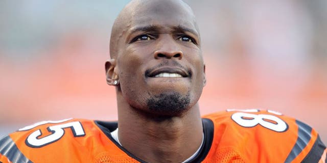 of the Buffalo Bills during NFL game against the Cincinnati Bengals at Paul Brown Stadium on November 21, 2010 in Cincinnati, Ohio.