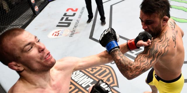 SIOUX FALLS, SD - JULY 13: (R-L) John Lineker punches Michael McDonald in their bantamweight bout during the UFC Fight Night event on July 13, 2016 at Denny Sanford Premier Center in Sioux Falls, South Dakota. (Photo by Jeff Bottari/Zuffa LLC/Zuffa LLC via Getty Images)