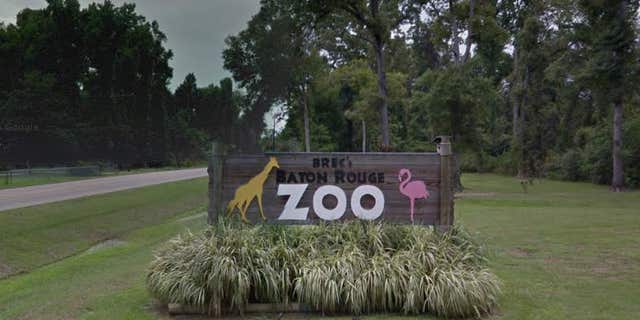 Baton Rouge Zoo.