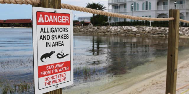 FILE - In this Friday, June, 17, 2016 file photo released by Walt Disney World Resort, a new sign is seen posted on a beach outside a hotel at a Walt Disney World resort in Lake Buena Vista, Fla., after a 2-year-old Nebraska boy killed by an alligator at Disney World.