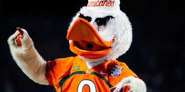 Dec 28, 2013; Orlando, FL, USA; Sebastian the Ibis, mascot of the Miami Hurricanes, cheers during the Russell Athletic Bowl at Florida Citrus Bowl Stadium. Mandatory Credit: David Manning-USA TODAY Sports