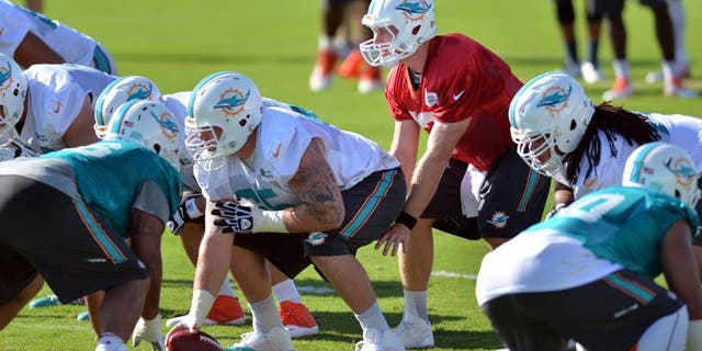 Jul 25, 2014; Davie, FL, USA; Miami Dolphins quarterback Ryan Tannehill (17) takes a snap from center Sam Brenner (65) during practice at Miami Dolphins Training Facility. Mandatory Credit: Steve Mitchell-USA TODAY Sports