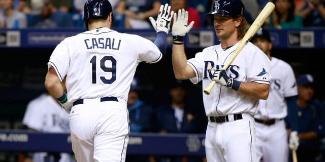 Jul 27, 2015; St. Petersburg, FL, USA; Tampa Bay Rays catcher Curt Casali (19) is congratulated by designated hitter John Jaso (28) after he hit a solo home run during the third inning against the Detroit Tigers at Tropicana Field. Mandatory Credit: Kim Klement-USA TODAY Sports