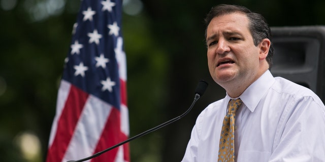 WASHINGTON, DC - JULY 15: Sen. Ted Cruz (R-TX) speaks about immigration during the DC March for Jobs in Upper Senate Park near Capitol Hill, on July 15, 2013 in Washington, DC. Conservative activists and supporters rallied against the Senate's immigration legislation and the impact illegal immigration has on reduced wages and employment opportunities for some Americans. (Photo by Drew Angerer/Getty Images)