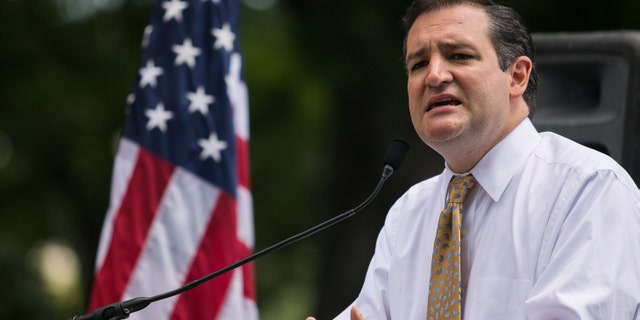 WASHINGTON, DC - JULY 15: Sen. Ted Cruz (R-TX) speaks about immigration during the DC March for Jobs in Upper Senate Park near Capitol Hill, on July 15, 2013 in Washington, DC. Conservative activists and supporters rallied against the Senate's immigration legislation and the impact illegal immigration has on reduced wages and employment opportunities for some Americans. (Photo by Drew Angerer/Getty Images)