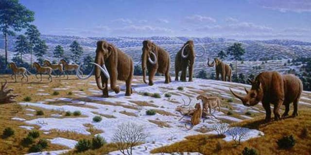 Woolly mammoths wandered the planet for about 250,000 years and vanished from Siberia by about 10,000 years ago.