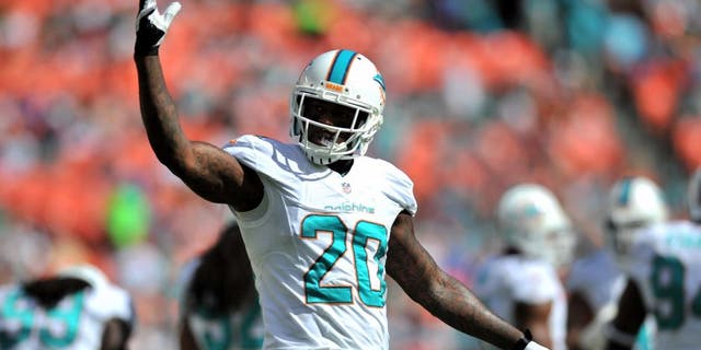 Nov 24, 2013; Miami Gardens, FL, USA; Miami Dolphins free safety Reshad Jones (20) reacts during a game against the Carolina Panthers at Sun Life Stadium. The Panthers won 20-16. Mandatory Credit: Steve Mitchell-USA TODAY Sports