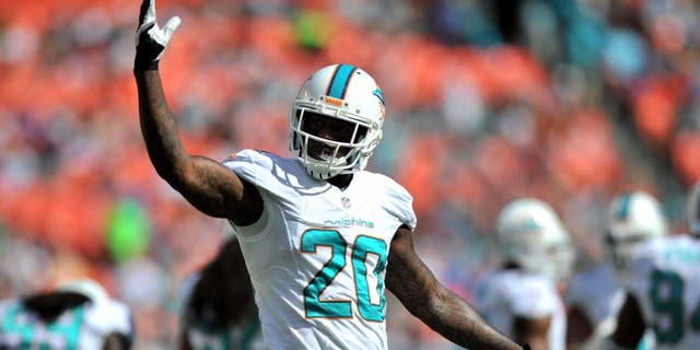 Nov 24, 2013; Miami Gardens, FL, USA; Miami Dolphins free safety Reshad Jones (20) reacts during a game against the Carolina Panthers at Sun Life Stadium. The Panthers won 20-16. Mandatory Credit: Steve Mitchell-USA TODAY Sports