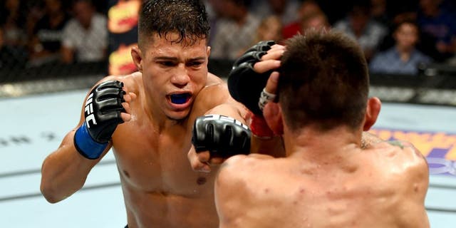 NASHVILLE, TN - AUGUST 08: (L-R) Geane Herrera punches Ray Borg in their flyweight bout during the UFC Fight Night event at Bridgestone Arena on August 8, 2015 in Nashville, Tennessee. (Photo by Josh Hedges/Zuffa LLC/Zuffa LLC via Getty Images)