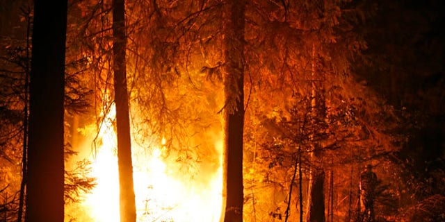 Aug. 13: A volunteer tries to extinguish a forest fire near the village of Kovrigino, about 45 miles east of Moscow.