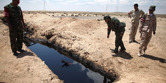 Aug. 15: A rebel fighter throws a stone into a pool of oil allegedly left by Muammar Qaddafi's troops near the town of Brega, Libya.