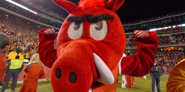 Nov 15, 2014; Fayetteville, AR, USA; Arkansas Razorbacks mascot "Big Red" during the second half of the game between the Arkansas Razorbacks and the LSU Tigers at Donald W. Reynolds Razorback Stadium. The Arkansas Razorbacks defeat the LSU Tigers 17-0. Mandatory Credit: Jasen Vinlove-USA TODAY Sports
