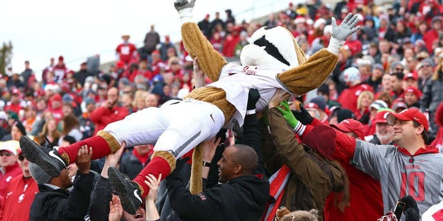 Dec 21, 2013; Albuquerque, NM, USA; Washington State Cougars mascot Butch celebrates in the crowd after a touchdown in the first quarter against the Colorado State Rams during the Gildan New Mexico Bowl at University Stadium. Mandatory Credit: Mark J. Rebilas-USA TODAY Sports