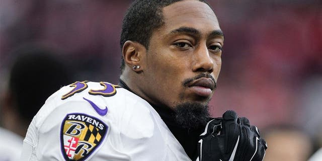 Dec 21, 2014; Houston, TX, USA; Baltimore Ravens strong safety Will Hill (33) during the game against the Houston Texans at NRG Stadium. Mandatory Credit: Troy Taormina-USA TODAY Sports