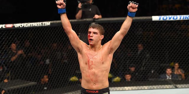 FAIRFAX, VA - APRIL 04: Al Iaquinta celebrates after defeating Jorge Masvidal by split decision in their lightweight fight during the UFC Fight Night event at the Patriot Center on April 4, 2015 in Fairfax, Virginia. (Photo by Josh Hedges/Zuffa LLC/Zuffa LLC via Getty Images)