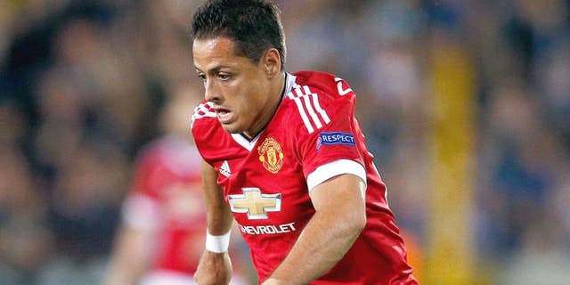 BRUGGE, BELGIUM - AUGUST 26: Javier Hernandez of Manchester United in action during the UEFA Champions League qualifying round play off 2nd leg match between Club Brugge and Manchester United held at Jan Breydel Stadium on August 26, 2015 in Brugge, Belgium. (Photo by Dean Mouhtaropoulos/Getty Images)