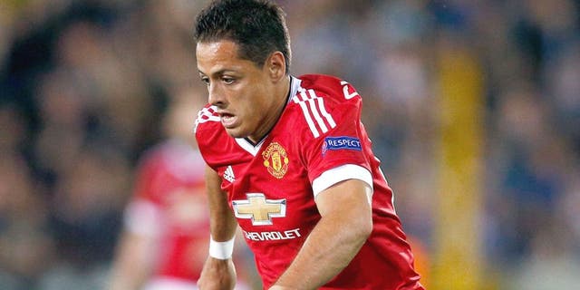 BRUGGE, BELGIUM - AUGUST 26: Javier Hernandez of Manchester United in action during the UEFA Champions League qualifying round play off 2nd leg match between Club Brugge and Manchester United held at Jan Breydel Stadium on August 26, 2015 in Brugge, Belgium. (Photo by Dean Mouhtaropoulos/Getty Images)