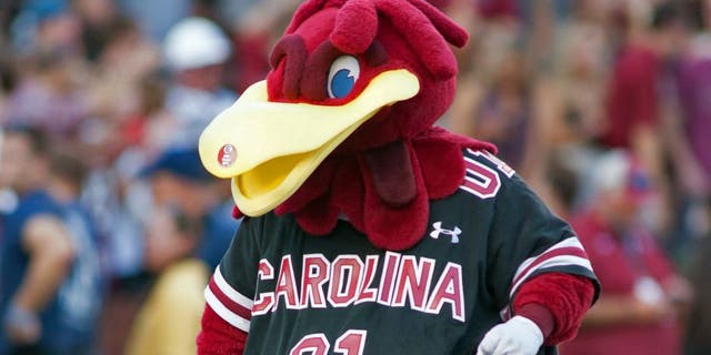 Aug 28, 2014; Columbia, SC, USA; The South Carolina Gamecocks mascot dances on the field after a score during the second quarter against the Texas A&M Aggies at Williams-Brice Stadium. Mandatory Credit: Jeremy Brevard-USA TODAY Sports
